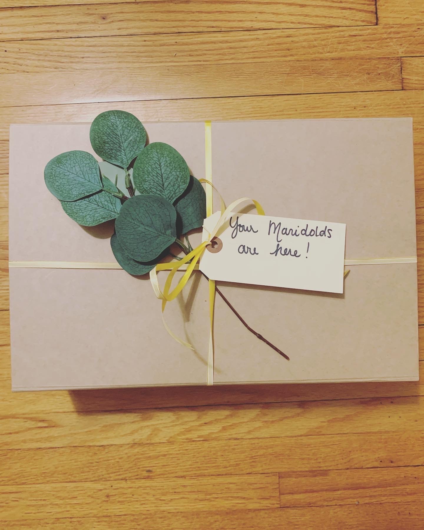 Marigold Style Box Option 2